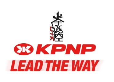 KPNP-电子护具系统