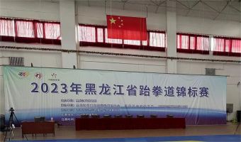 2023年黑龙江省锦标赛-精彩集锦