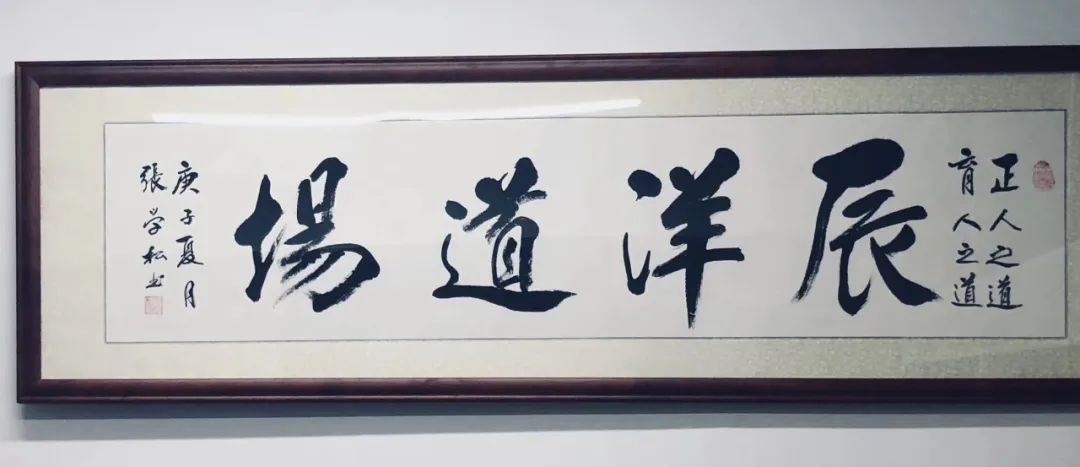 上海辰洋跆拳道馆—让每一位学员如星辰般闪耀