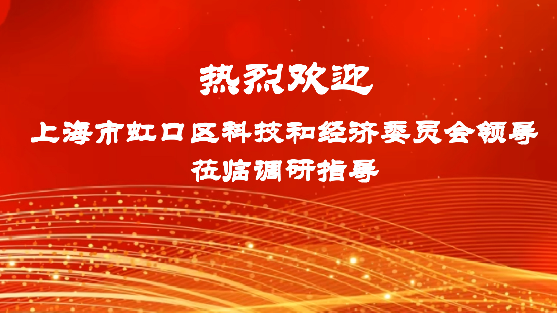 上海市虹口区科技和经济委员会领导莅临拳跆空总部指导高新企业工作